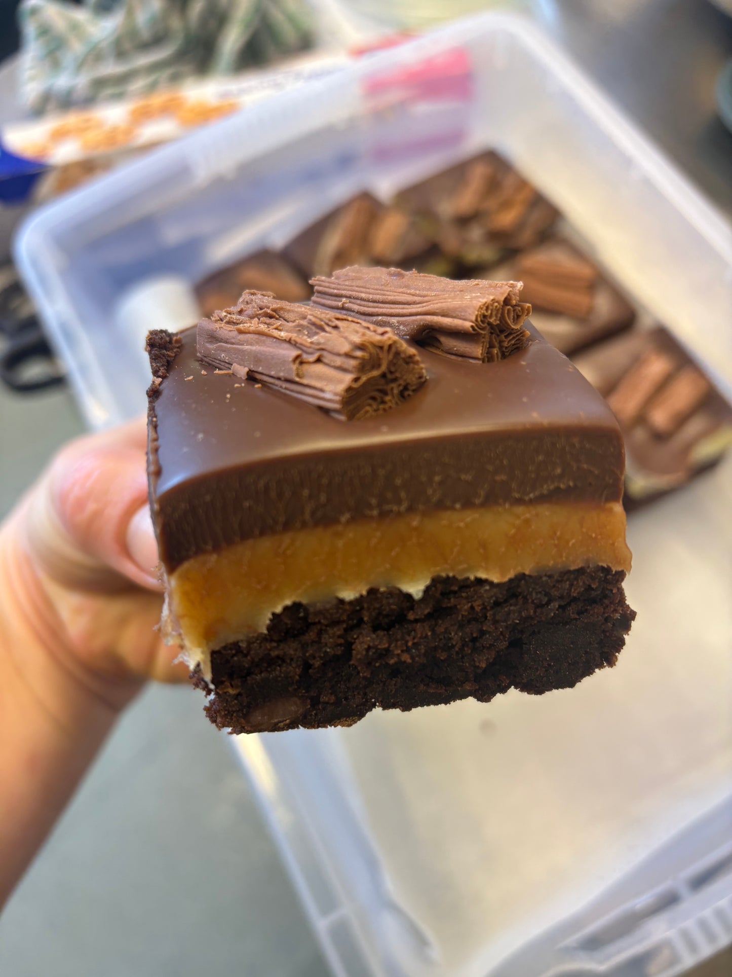 Brownie Whole Trays