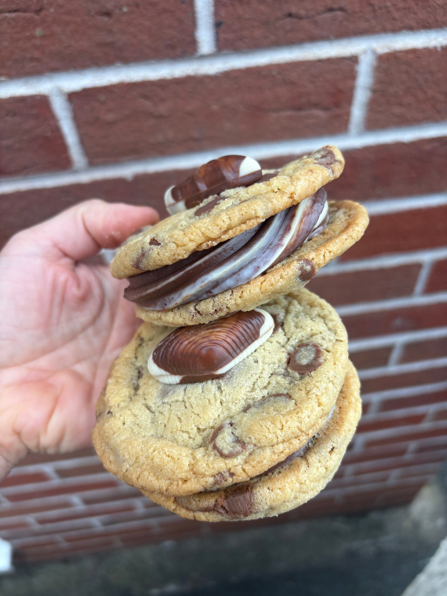 Seashell & Nutella cookie sandwich