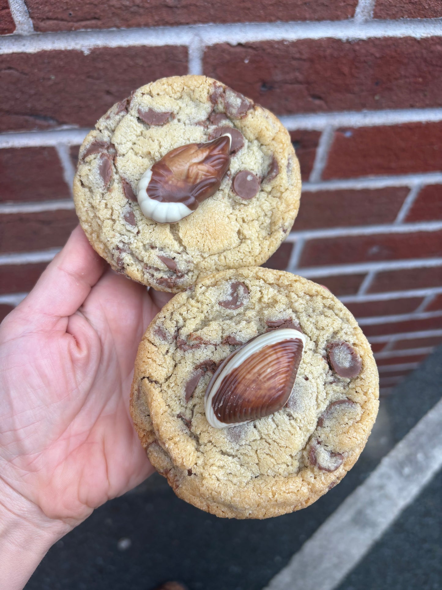 Seashell & Nutella cookie sandwich